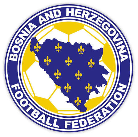 Bosnia and Herzegovina logo