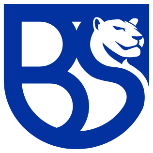 Union Brescia logo